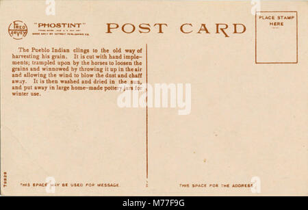 Winnowing grain, Pueblo of Tesuque, Mexico. Fred Harvey series. (NBY 21416) Stock Photo