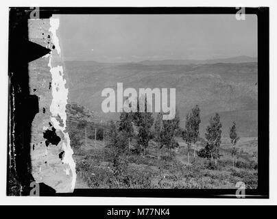 Cedars and Robinson family LOC matpc.13062 Stock Photo