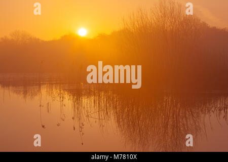 Barton-upon-Humber, UK. 9th March, 2018. UK Weather: A misty sunrise over a Lincolnshire Wildlife Trust Nature Reserve at Barton-upon-Humber, North Lincolnshire, UK. 9th March 2018. Credit: LEE BEEL/Alamy Live News Stock Photo