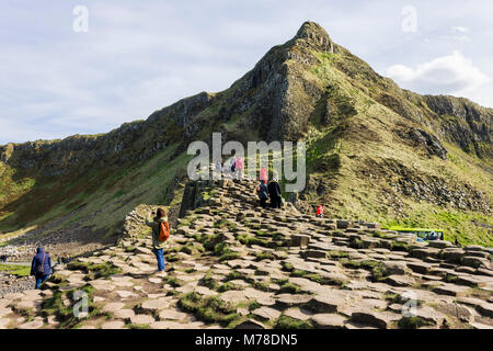 The Giant's Causeway, basalt columns from an ancient volcanic eruption in County Antrim on the north coast of Northern Ireland, close to the town of B Stock Photo