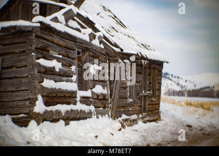An abandoned log cabin in the snow by the road, along Smart Creek, in the John Long Mountains. Stock Photo