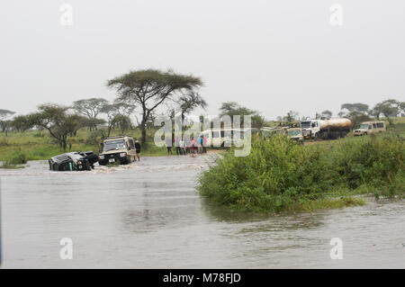 Dangerous washed out road in the Serengeti leads to one overturned SUV and one stuck, the windows had to be broken to allow tourists to climb out Stock Photo
