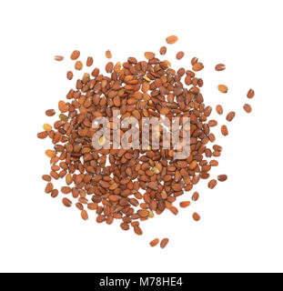 Small brown candytuft flower seeds scattered on a white background Stock Photo