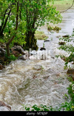 Water flowing out of a large storm water drain after storms and heavy rainfall into the Ross river, Aplins weir, Townsville, Queensland, Australia Stock Photo