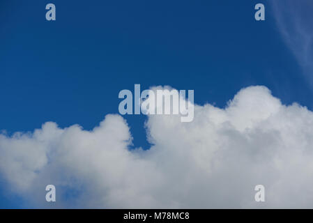 Puffy cloud on blue sky background. Big white cloud on clean blue sky Stock Photo
