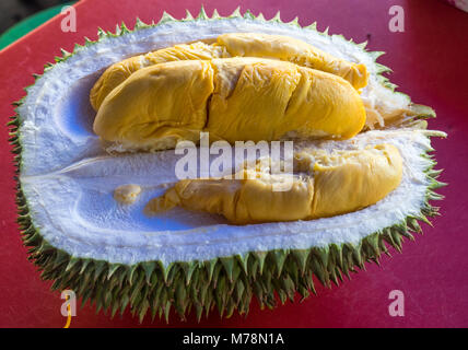 Durian, "the King of Fruits" cut in half exposing the edible fleshy cheeks. Stock Photo