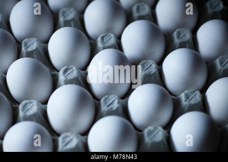 White chicken eggs on a cardboard tray. Stock Photo