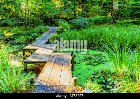 a wooden bridge across a pond with duckweed and leaves of water lilies, in a park with subtropical plants, a fern, green trees and shrubs Stock Photo