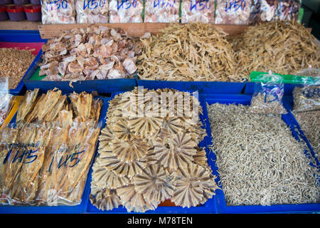 squides at the fish market at the town of Ang Sila near Bang Saen in the Provinz Chonburi in Thailand.  Thailand, Chonburi, November, 2017 Stock Photo