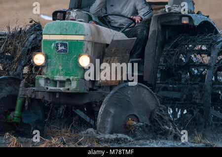 tractor for rice field, in winter stage for flooding of the terrain, the muddy to bury the stems and remains of the crop. Ebro delta, Catalonia, Spain Stock Photo