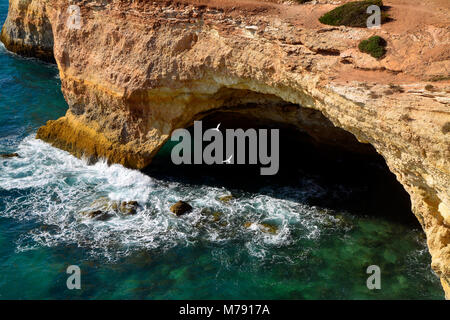 Two birds flying in front of Benagil cave (Portugal) Stock Photo