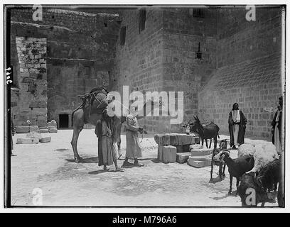 Bethlehem and surroundings. The Well at Bethlehem. Animals being watered at village well LOC matpc.02617 Stock Photo