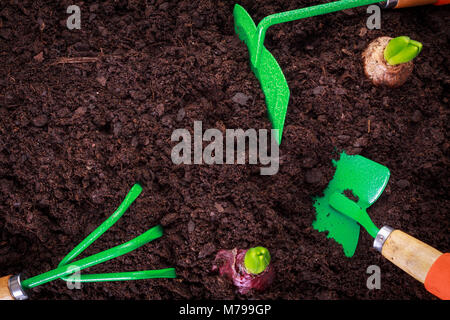 View from above on gardening tools lays on soil with copy space. Stock Photo