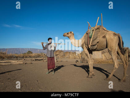 Afar tribe man with his camel, Afar region, Afambo, Ethiopia Stock Photo