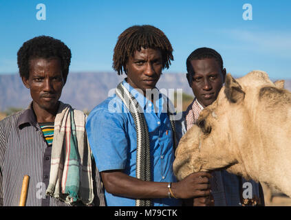 Afar tribe men with their camel, Afar region, Afambo, Ethiopia Stock Photo