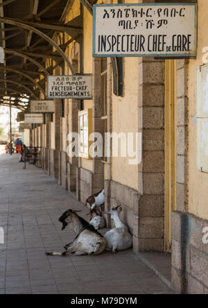 Old sign of the station managers in the ethio-djibouti railway station, Dire dawa region, Dire dawa, Ethiopia Stock Photo