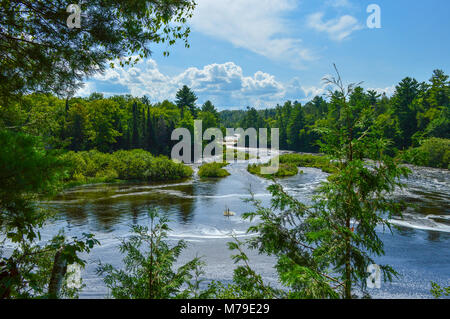 Tahquamenon Falls State Park, Michigan Stock Photo