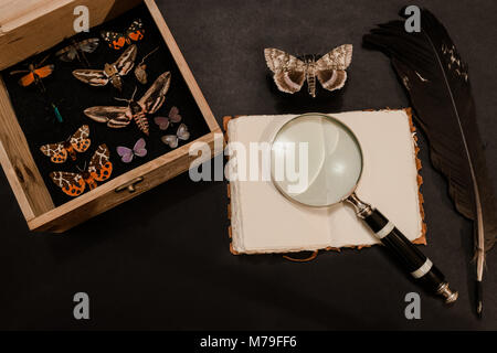 Butterflies collector background composition: old wooden collection box with the butterflies and insects, old notebook, magnifying glass, feather penc Stock Photo