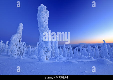 North America, the USA, Alaska, central Alaska, James Dalton Highway, winter scenery, Stock Photo