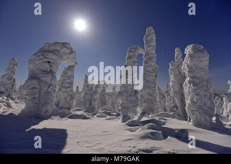 North America, the USA, Alaska, central Alaska, James Dalton Highway, winter scenery, night photography, full moon, Stock Photo