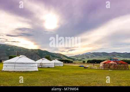 Constructing a Mongolian yurt called a ger on central Mongolian steppe Stock Photo