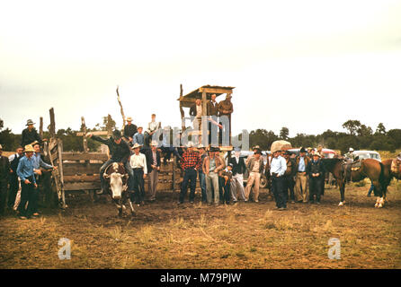 Rodeo at Town Fair, Pie Town, New Mexico, USA, Russell Lee for Farm Security Administration - Office of War Information, October 1940 Stock Photo