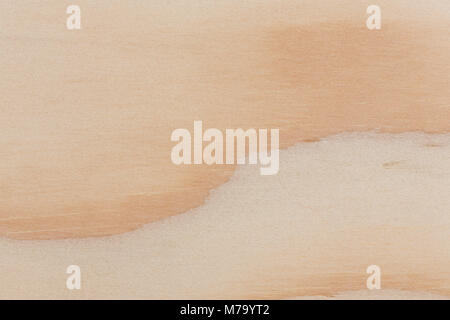 Texture of pine wood plank, high detailed. Stock Photo