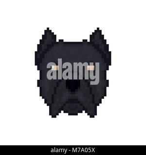 Dog Cane Corso head in pixel art style. Vector illustration. Stock Vector