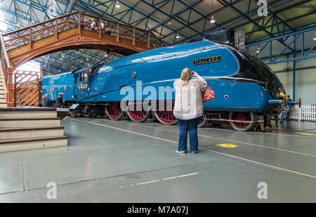 Steam locomotive Mallard on display at The National Railway museum in York England UK. Stock Photo