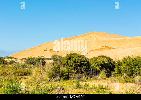 Giant dunes loom above the Te Paki Stream, which runs down to to Ninety Mile Beach, North Island, New Zealand Stock Photo