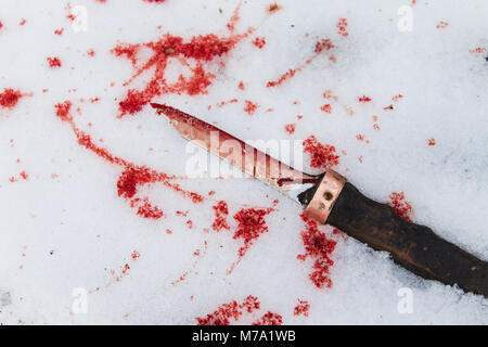 old dirty knife smeared with blood with blood drops in the snow. crime scene Stock Photo