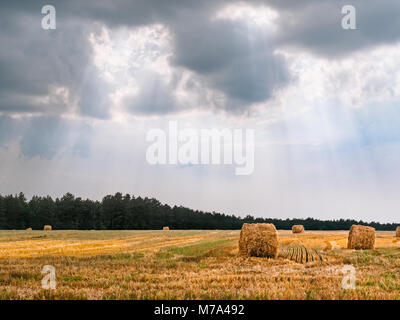 Round straw bales under the rays of light shining through dark clouds on a summer day. Typical agricultural landscape of the European countryside. Stock Photo