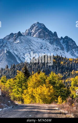 Mount Sneffels under snow, aspen grove in late fall, view from Dallas Creek Road, San Juan Mountains, Rocky Mountains, Colorado, USA