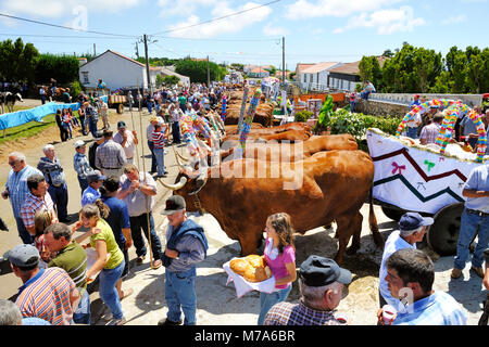 Traditional festivities in São Tomé (Bodo de Leite). São Jorge, Azores islands, Portugal Stock Photo