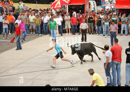 Bullfight (Tourada à Corda) in Porto Martins. Terceira island, Azores. Portugal Stock Photo