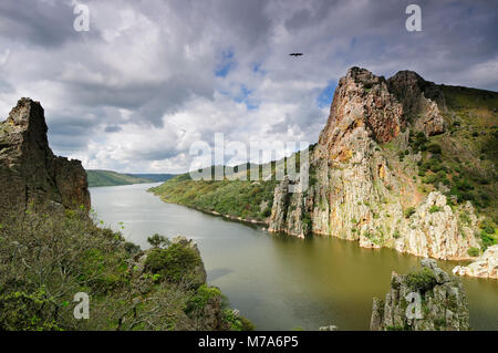 Tagus river at the Monfrague National Park. Spain Stock Photo