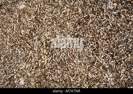 Dried seaweed full background, texture, closeup view with details, top view Stock Photo