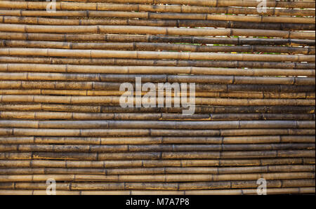 Old weathered bamboo texture, background, closeup view with details Stock Photo