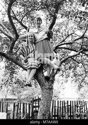 Two women with gun sitting on a tree in the garden, 1930s, Germany Stock Photo