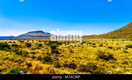 Endless wide open landscape of the semi desert Karoo Region in Free State and Eastern Cape provinces in South Africa under blue sky Stock Photo