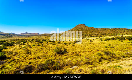 Endless wide open landscape of the semi desert Karoo Region in Free State and Eastern Cape provinces in South Africa under blue sky Stock Photo