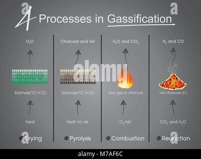 4 processes in Gasification Drying, Pyrolysis, Combustion, Reduction. Info graphic vector. Stock Vector