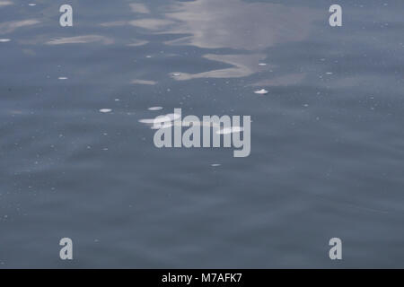 Water bokeh in the river. Stock Photo