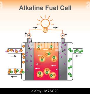 The Alkaline fuel cell structure. Graphic design vector. Stock Vector