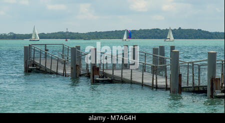 A floating pontoon attached to the Chek Jawa Broadwalk  on the island of Palau Ubin, Singapore. Stock Photo