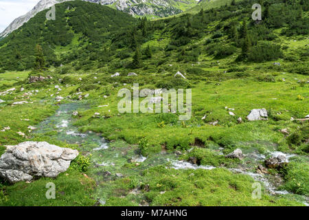 Austria, Vorarlberg, Lechquellen Mountains, Dalaas, source of Lech Stock Photo