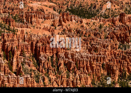 The USA, Utah, Garfield County, Bryce Canyon National Park, view from the Rim Trail close Bryce Point Stock Photo