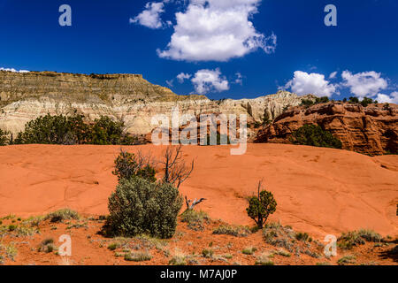 The USA, Utah, Kane County, Kodachrome Basin State Park, rock formations in the Nature Trail Stock Photo