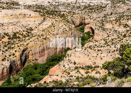 The USA, Utah, Garfield County, Grand Staircase-Escalante National Monument, Escalante, Calf Creek canyon, view from the Scenic Byway 12 Stock Photo