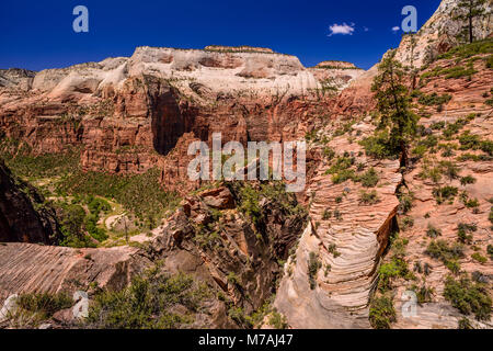 The USA, Utah, Washington county, Springdale, Zion National Park, Zion canyon close Virgin River and Angels Landing at Big Bend, view from observation Point Trail Stock Photo